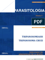SEMANA 5 - TRYPANOSOMA CRUZI.pdf