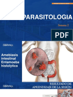 Semana 2 - Amebiasis F PDF