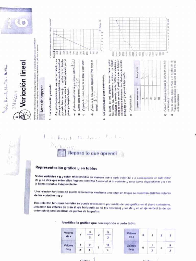 Variación Lineal PDF | PDF | Pendiente | Línea (geometría)