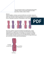 Desarrollo Embrionario