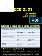 CLASE 04 OK. NECESIDADES NUTRICION DEL CUY PowerPoint