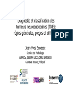 TNE Dic-Classif PDF