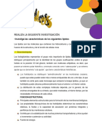 Investigación PDF