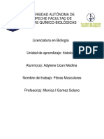 Histologia - Fibras Musculares