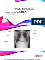 Actividad Sistema Circulatorio AVD