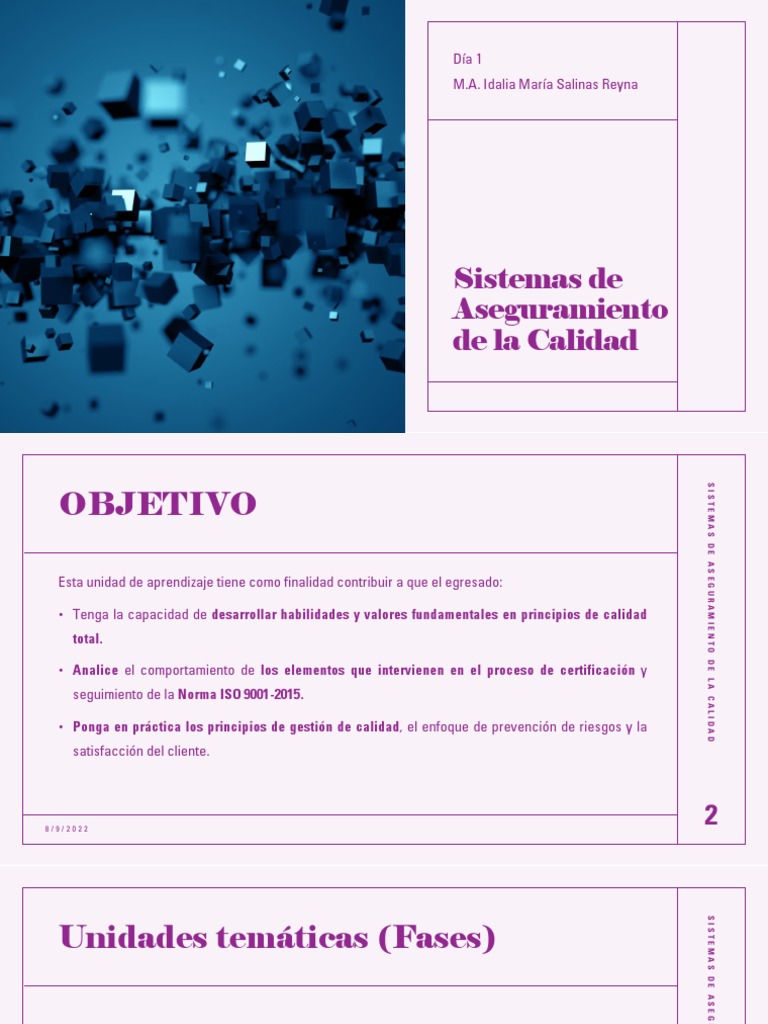 S1 - 1 Sistemas de Aseguramiento de La Calidad | PDF