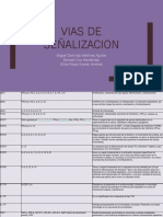 Vias de Señalizacion PDF