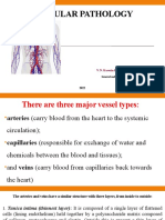 Vascular Pathology - Lesson - 10