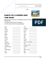 Parts of the horse_editable (1).odt