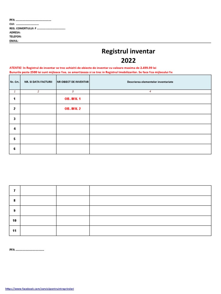 Registru Inventar Contabilitate Partida Simpla, PFA, I.I., I.F. - Draft ...