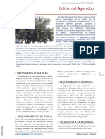 CULTIVO Del ALGARROBO..Ficha Técnica PDF