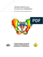 Buku Saku Anatomi Genitalia-1 PDF