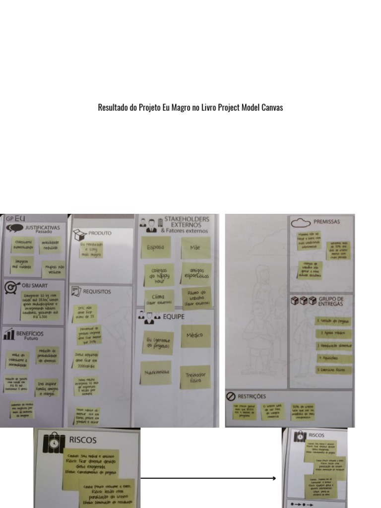 Projeto Eu Magro No Livro Project Model Canvas PDF | PDF