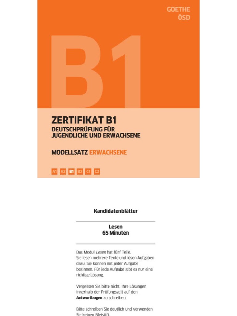 Modellsatz b1 goethe pdf
