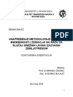 Senka Bajic - Doktorska Disertacija PDF