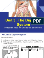 Introduction To Digestion PDF
