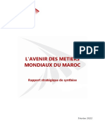 Avenir MMM Rapport Strategique de Synthese PDF