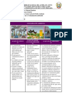 Justo Aracayo Jeanette - Cuadro C-Q-A (Contaminacion Ambiental) PDF