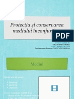 Protecția Și Conservarea Mediului Înconjurător: Drăghia Beatrice Profesor coordonator:CIOPEC ALEXANDRA
