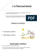 Chapter 1 - Nutrition in Plant and Animal