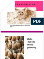 PDR 1 Module 4 Adaptability PDF