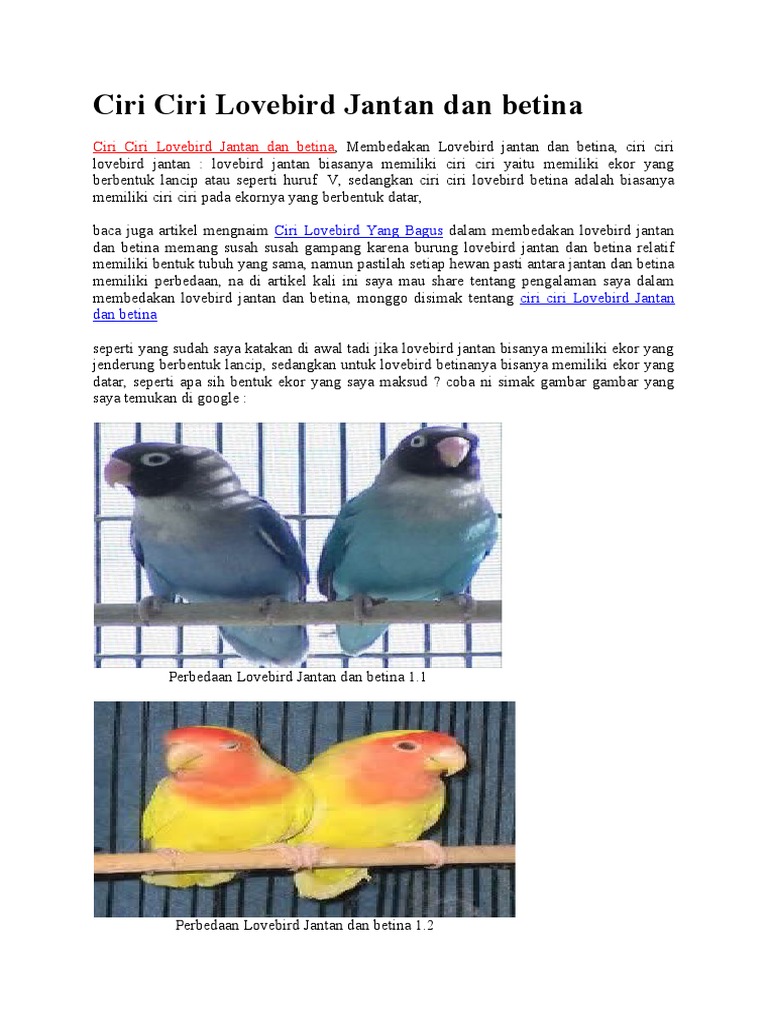 Ciri Ciri Lovebird Jantan Dan Betina | PDF