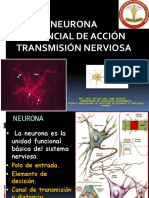 2 Neurona-1 PDF