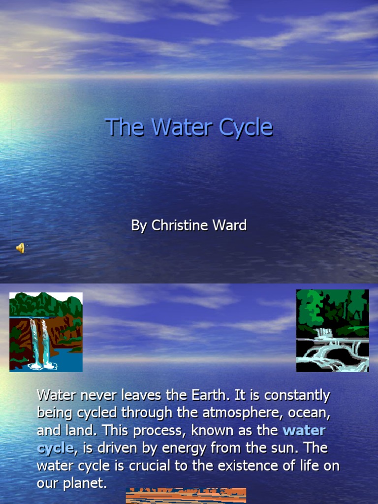 Understanding the Water Cycle | PDF