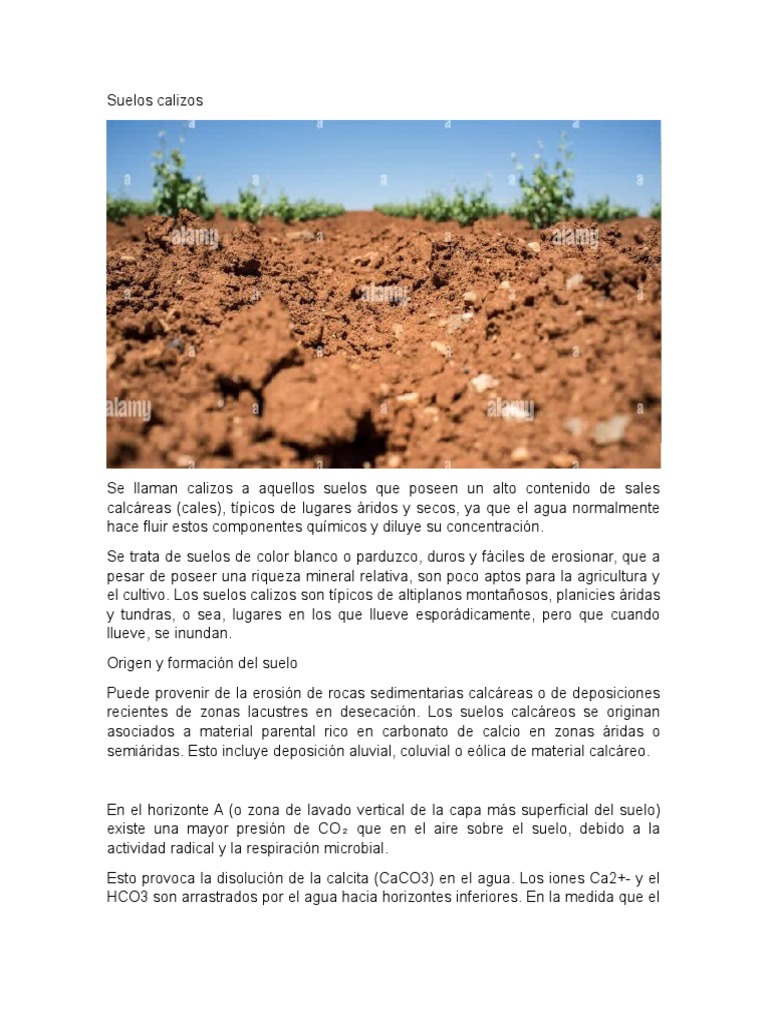 Características del Suelo Calizo | PDF
