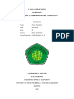 Fadia Bayu Putri - B PDF