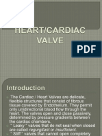 Heart Valve