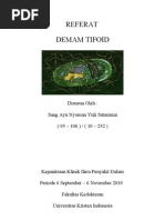 Download Demam Tifoid by Maria Pricilla Elvira SN64370398 doc pdf