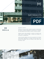 Brochure Tigrevista Urbano - Mola Construcciones PDF