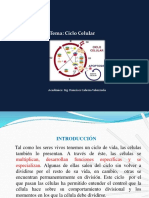 Clase N°3 - Ciclo Celular PDF