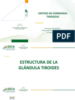 Sintesis de Hormonas Tiroideas PDF