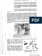 Higiene Pecuaria Equino y Suinos PDF