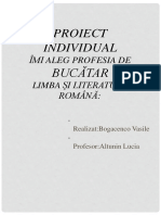 Proiect Bogacenco Vasile Clasa 9a PDF