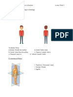 Human structure & function lecture week 7