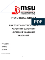Lab Anatomy and Physiology 1 - BBM BFS BNT BHS BCT PDF