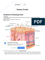 HERPES ZOSTER