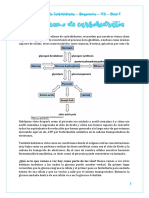 Metabolismo HDC PDF