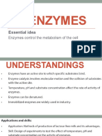 2.5 Enzymes