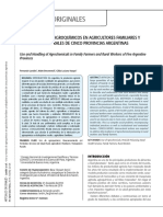 Informe Del Uso en Argentina PDF