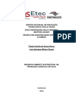 Desenvolvimento Sustentável Na Produção Agrícola de Soja - TCC PDF