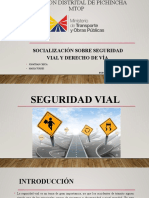 Seguridad Vial 1