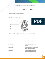 Guía Cuerpo Humano