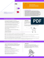 Clase 2 Unidad 2 PDF