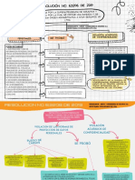 Mapa Conceptual Resolucion PDF