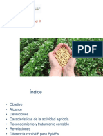 NIC 41 Agricultura - Presentación PDF