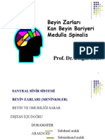 Arşiv DR - BC Beyin Zarları, Kan Beyin Bariyeri